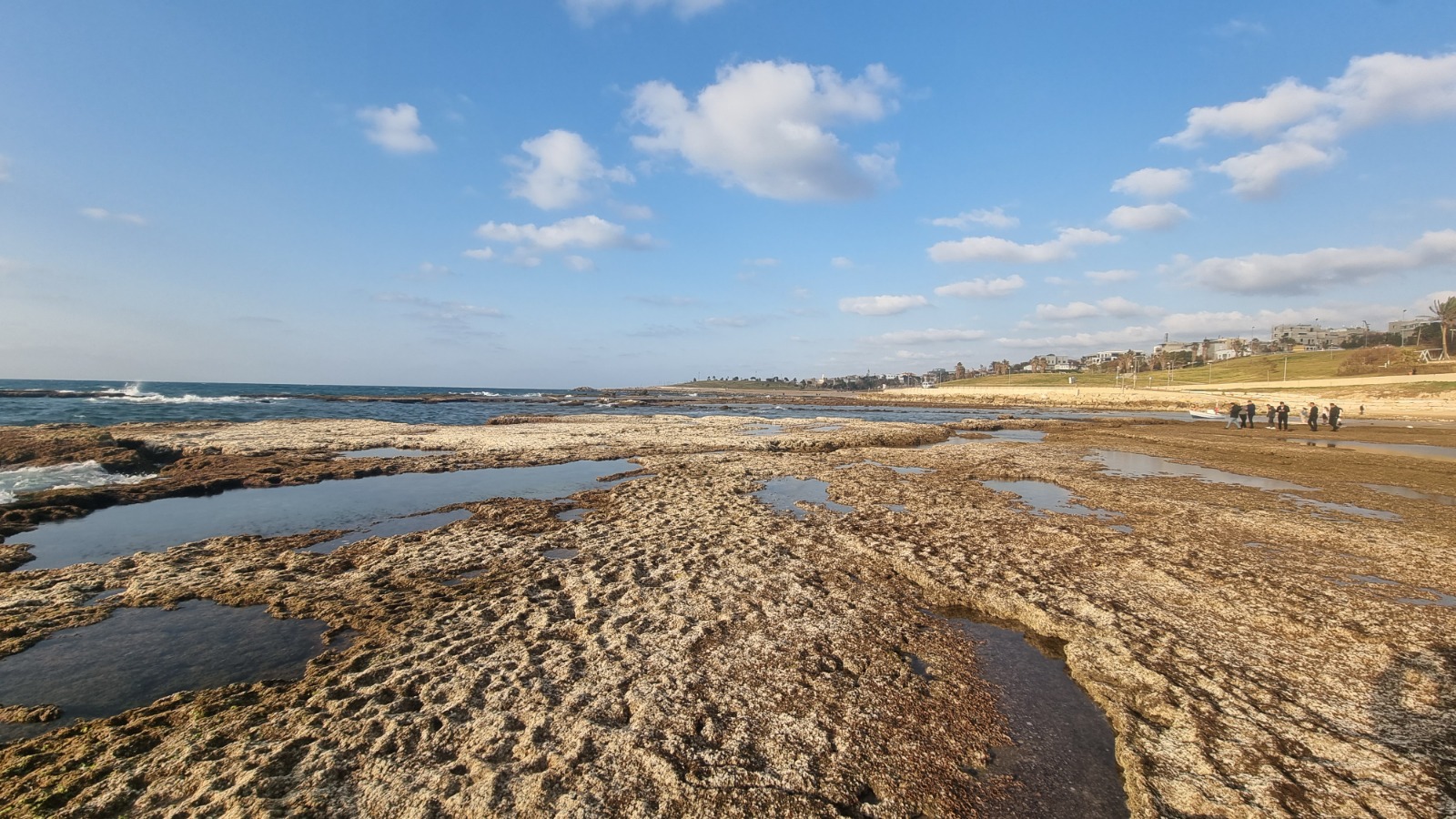 WhatsApp Image 2023-02-20 at 5.53.38 PM (15).jpeg